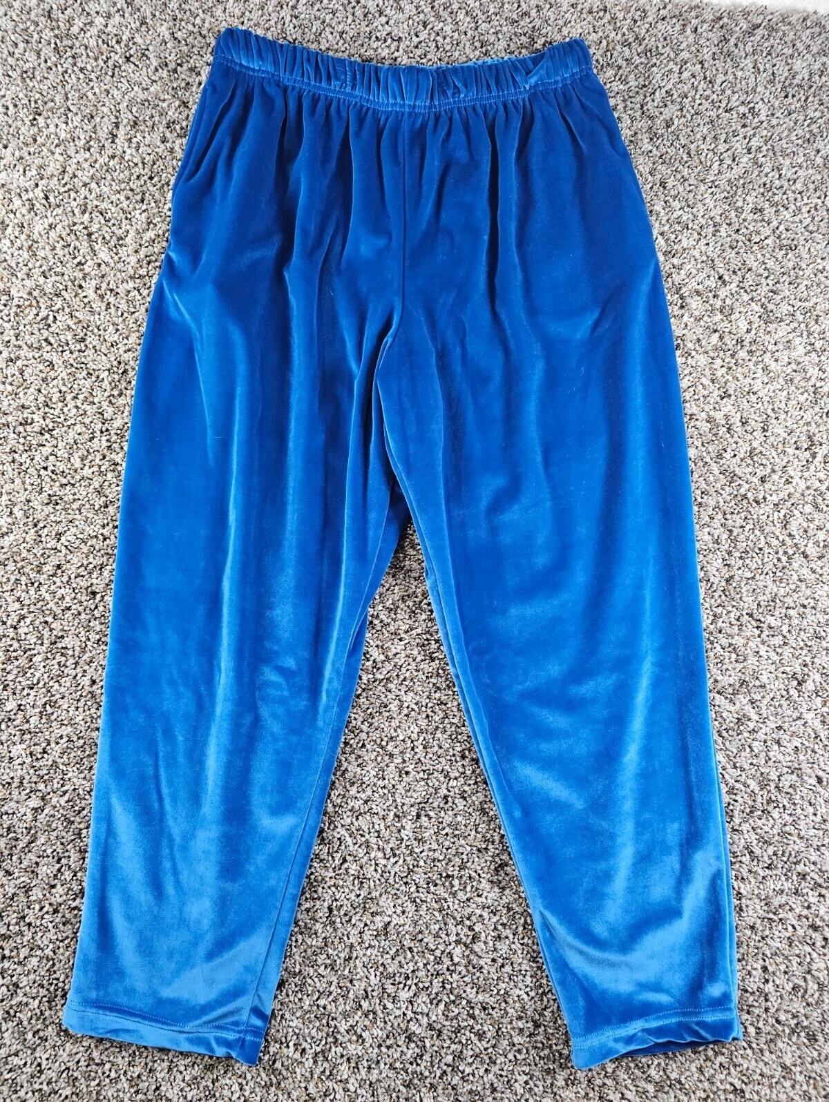 Jaclyn Smith Sport Womens Sz Xl Tapered Leg Pull On Pants Blue Velvet Velour